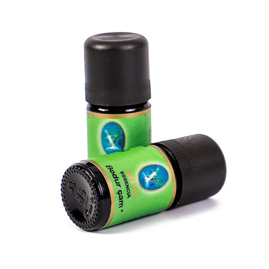 Bodur Çam Yağı - Organik 5 ml